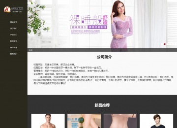 内衣成品模板网页制作与设计 多少钱能做好一个电商网站？